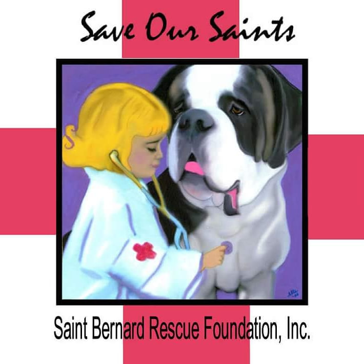 Sin City Saint Rescue - Home